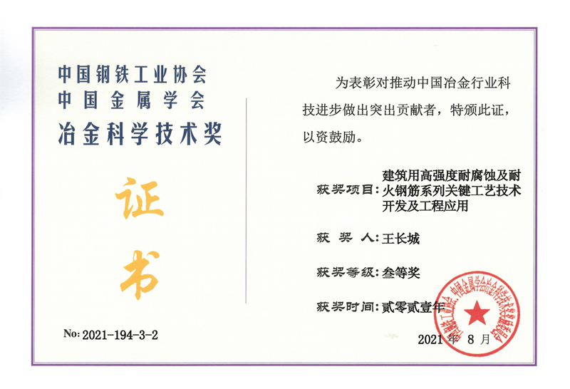 2021冶金科学技术奖三等奖王长城