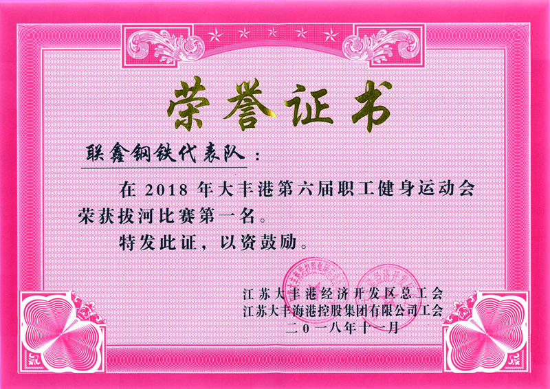 大丰港第五届职工健身运动会拔河比赛第一名