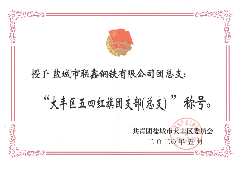 大丰区五四红旗团支部称号