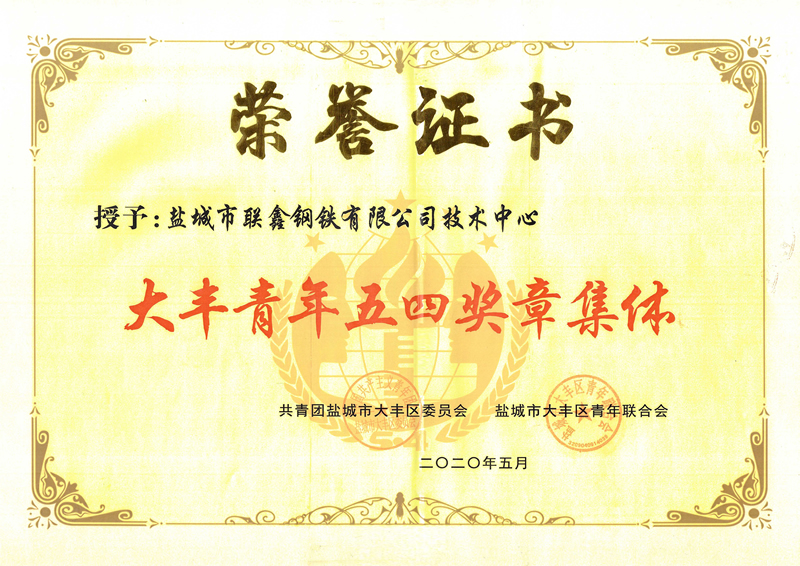 大丰青年五四奖章集体