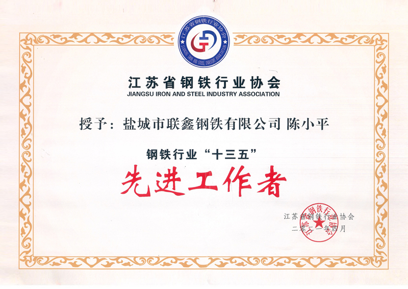 钢铁行业十三五先进工作者--陈小平